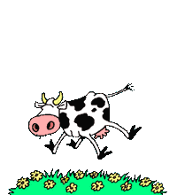 vache 07 : steeple-cow !