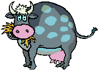 vache broute